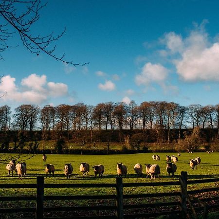Mitton Hall Hotel Clitheroe Zewnętrze zdjęcie